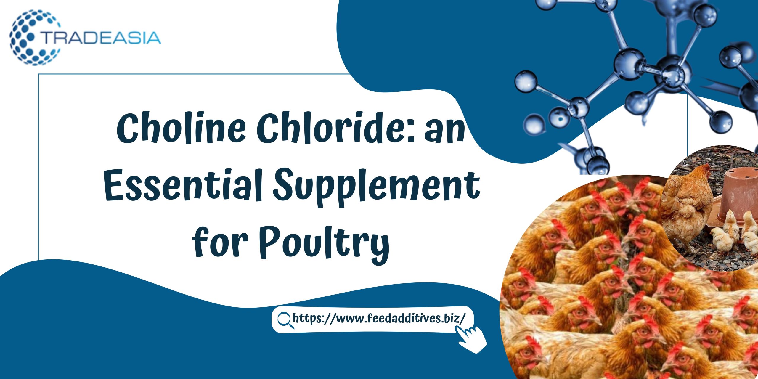 choline