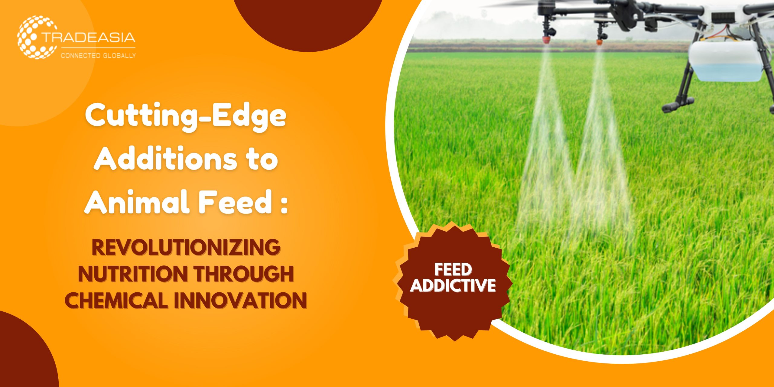 Cutting-Edge Additions to Animal Feed: Revolutionizing Nutrition through Chemical Innovation
