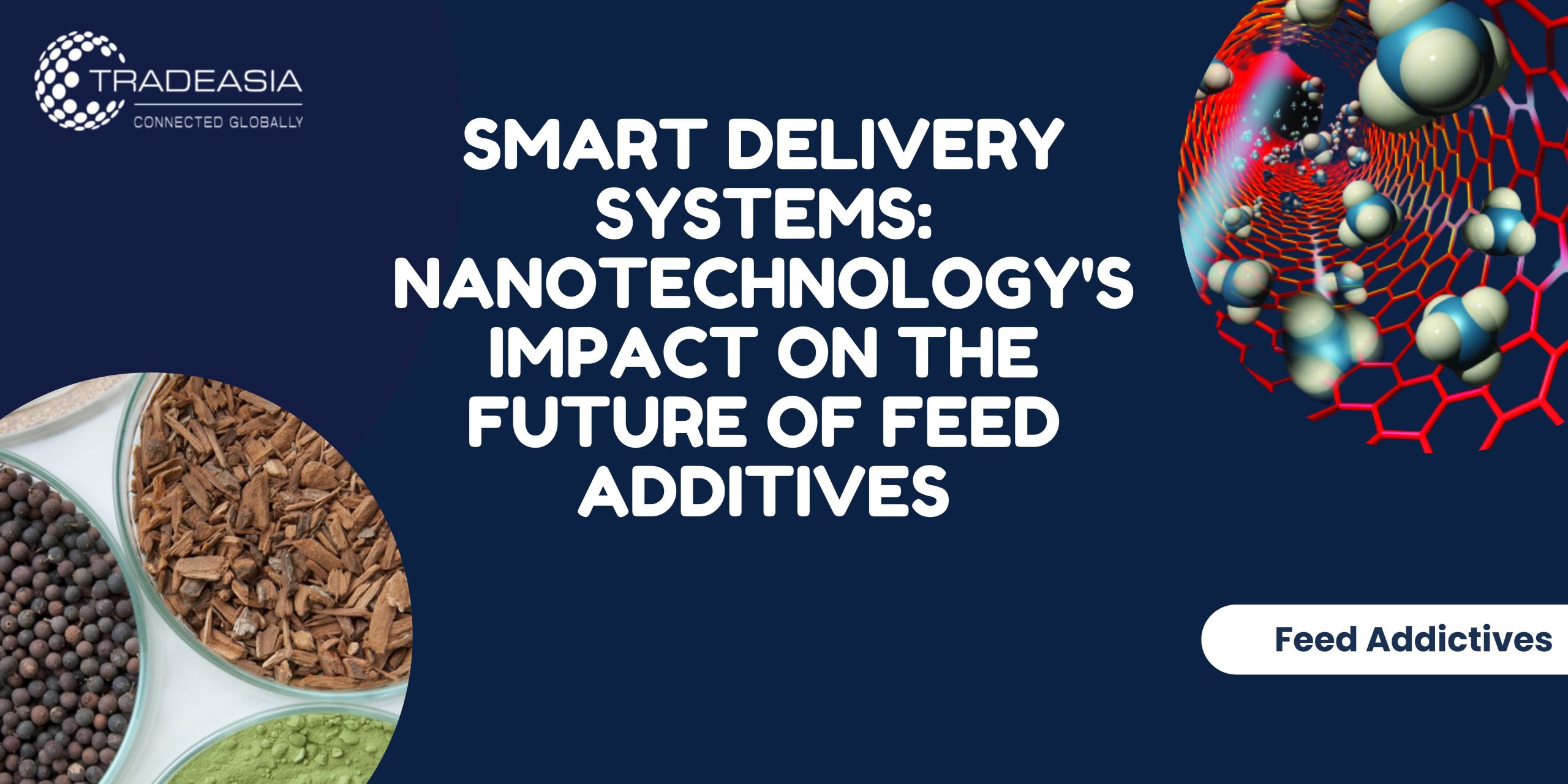 Smart Delivery Systems: Nanotechnology’s Impact on the Future of Feed Additives