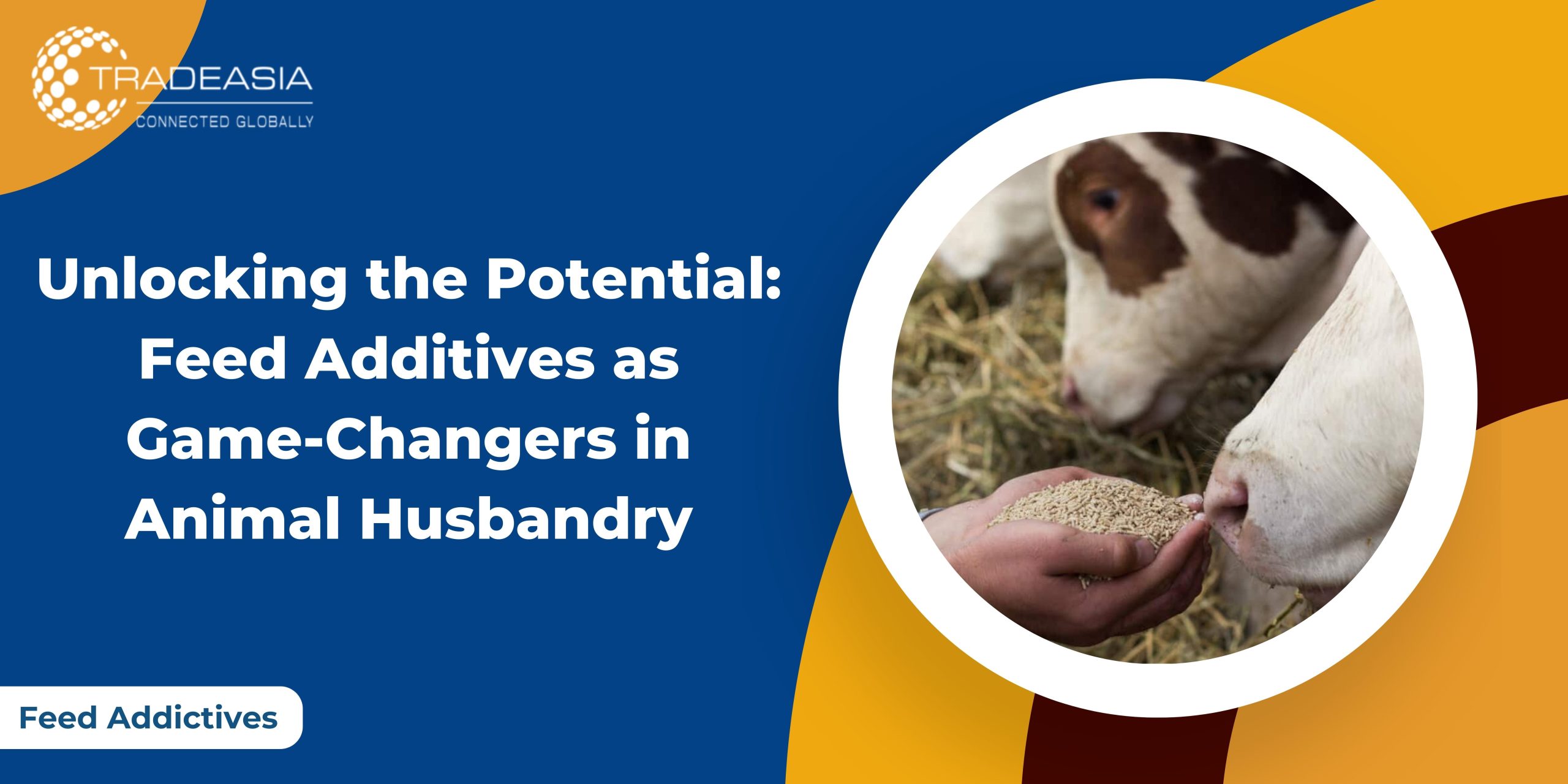 Unlocking the Potential: Feed Additives as Game-Changers in Animal Husbandry