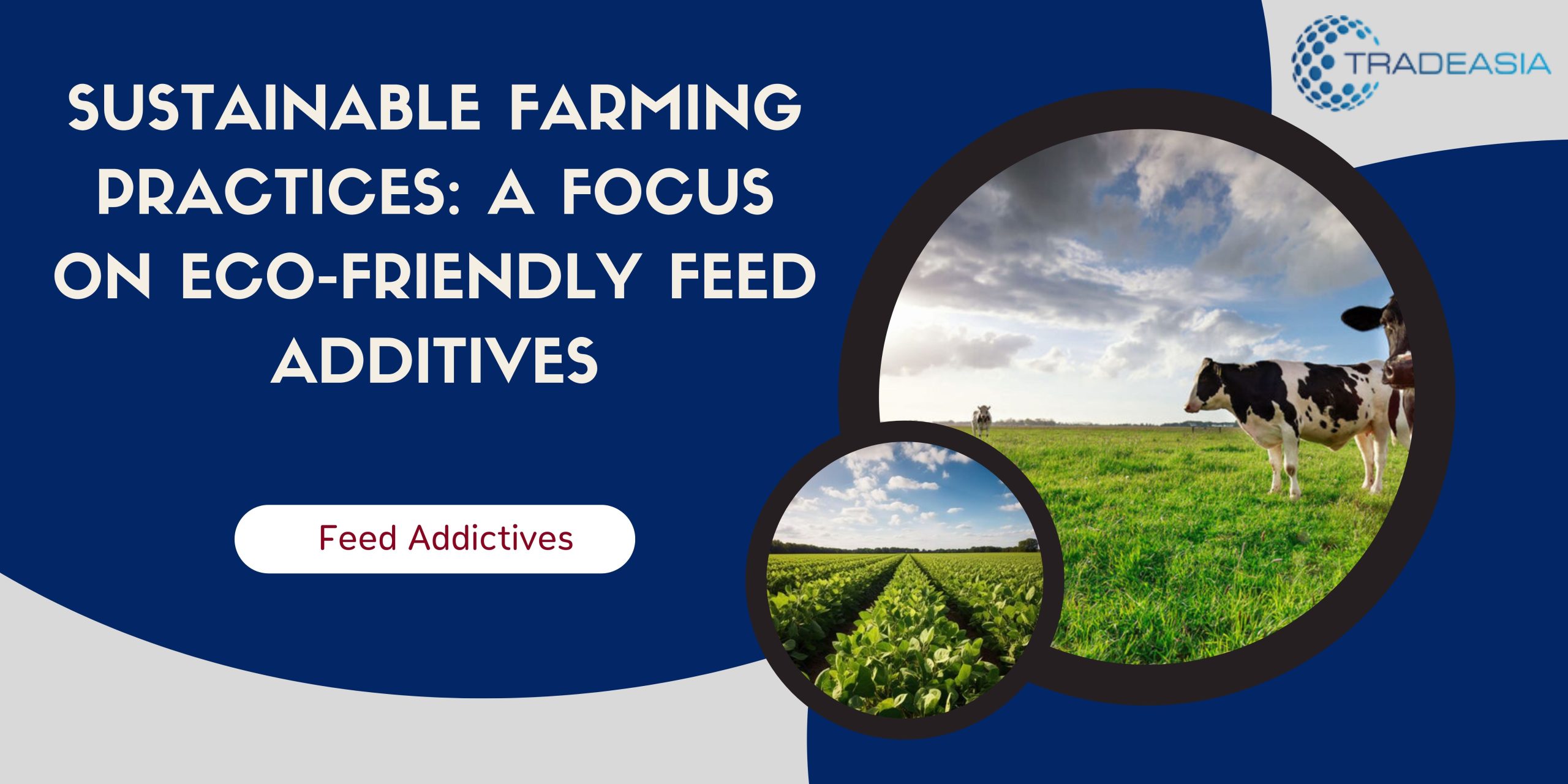 In the contemporary landscape of agriculture, the imperative for sustainable farming practices has become more pronounced than ever. This article delves into the intricate realm of sustainable agriculture, placing a specific lens on the role of eco-friendly feed additives. As we navigate through the realms of environmental consciousness, animal welfare, and the quest for efficient farming, the spotlight shines on how the integration of eco-friendly feed additives is reshaping the future of agriculture. Introduction: The introductory segment sets the stage by defining the essence of sustainable farming and the growing importance of eco-friendly practices. It highlights the challenges faced by modern agriculture and introduces the pivotal role that feed additives play in fostering sustainability. Sustainable agriculture goes beyond mere production; it's a holistic approach that considers the long-term impact on the environment, the well-being of livestock, and the economic viability of farming operations. As we stand at the crossroads of agricultural evolution, the spotlight turns towards eco-friendly feed additives as catalysts for change. The Evolution of Sustainable Agriculture: A historical perspective outlines the evolution of sustainable agriculture, emphasizing the shift from conventional practices to a more holistic and environmentally conscious approach. This evolution has been marked by a growing awareness of the interconnectedness between farming practices, ecological balance, and the health of both consumers and the planet. The early stages of sustainable agriculture focused on reducing chemical inputs and embracing organic farming methods. However, the modern concept encompasses a broader spectrum, incorporating technological innovations, precision farming, and the integration of eco-friendly additives into livestock nutrition. Understanding Eco-Friendly Feed Additives: A deep dive into the concept of eco-friendly feed additives follows, elucidating what makes certain additives environmentally sustainable. These additives go beyond simply providing nutritional benefits to animals; they are carefully formulated to minimize environmental impact, promote resource efficiency, and align with the principles of circular agriculture. Biodegradability is a key criterion for eco-friendly feed additives. Unlike traditional additives that may contribute to environmental pollution, these compounds break down into harmless components, reducing the overall ecological footprint of livestock farming. Low environmental impact extends beyond biodegradability to consider factors such as water usage, energy consumption, and land use. Eco-friendly additives are designed to optimize resource utilization, ensuring that the environmental cost of their production and application is minimized. The use of renewable resources in feed additive formulations is another hallmark of sustainability. By sourcing ingredients from renewable and responsibly managed ecosystems, these additives contribute to biodiversity conservation and support the overarching goal of creating a regenerative agricultural system.